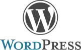 Premium handcoded Wordpress theme